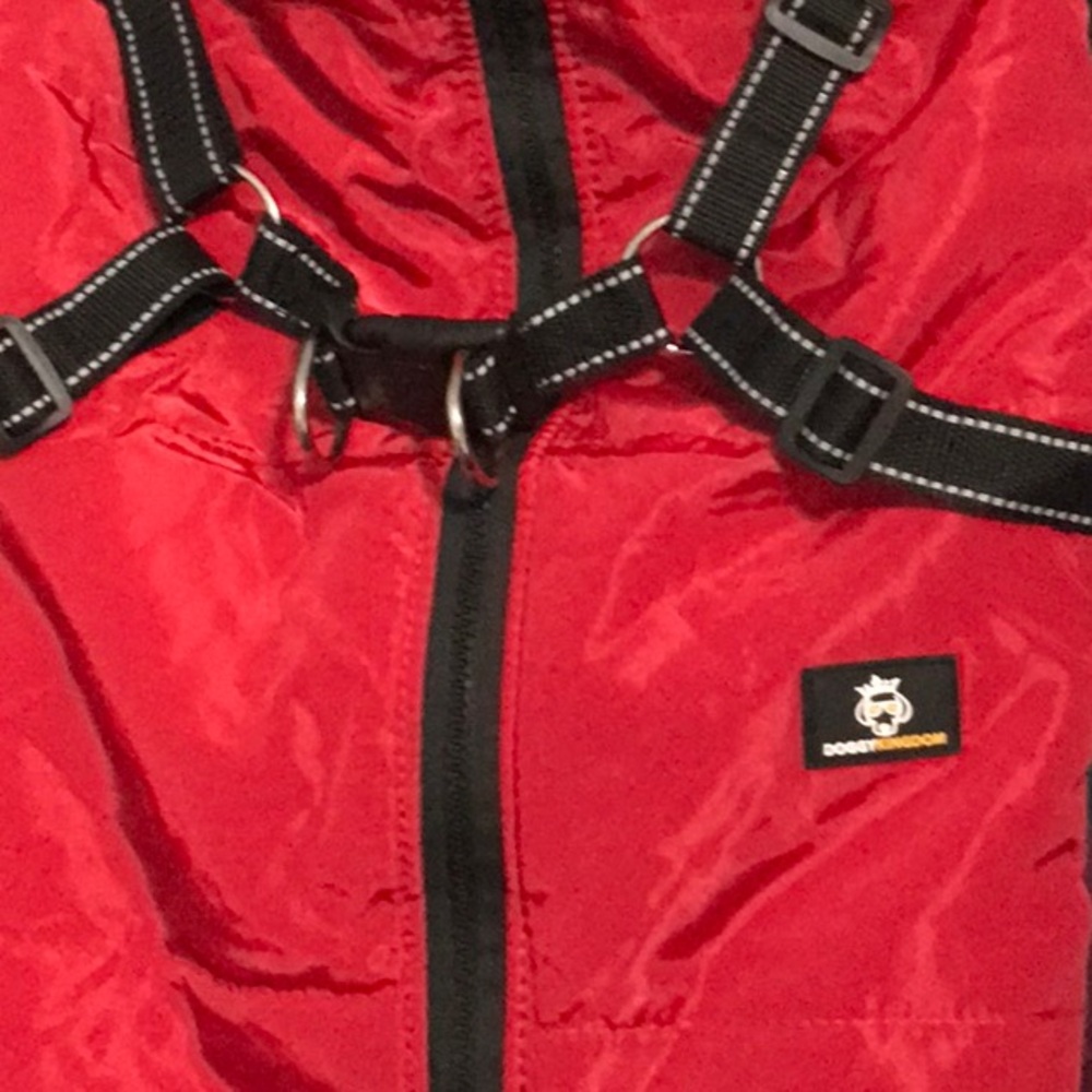 L Red - Doggie Kingdom Jacket